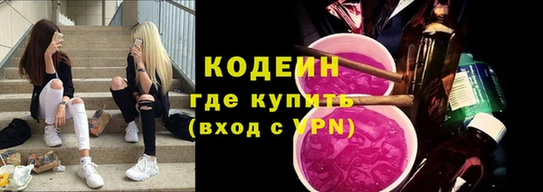 хмурый Сосновый Бор