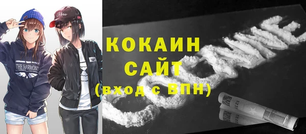 хмурый Сосновый Бор