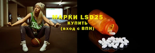 хмурый Сосновый Бор