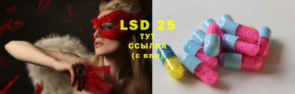 хмурый Сосновый Бор