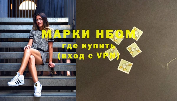 хмурый Сосновый Бор