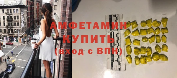 хмурый Сосновый Бор