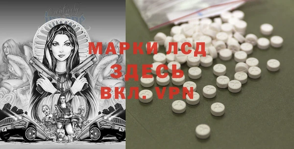 хмурый Сосновый Бор