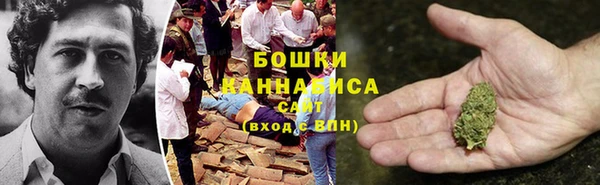 дмт Сосновоборск