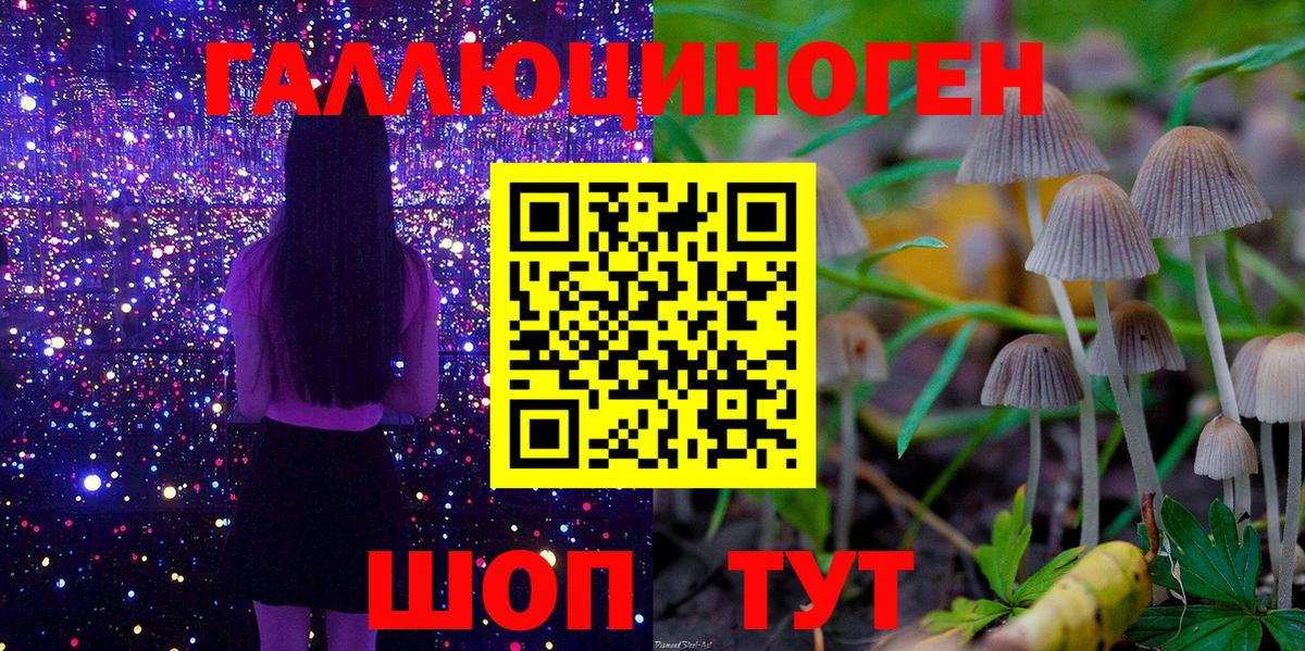 Оренбург  где найти наркотики  Вход с VPN  Псилоцибиновые грибы прущие грибы 